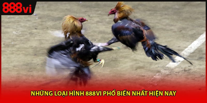 Những loại hình 888vi phổ biến nhất hiện nay